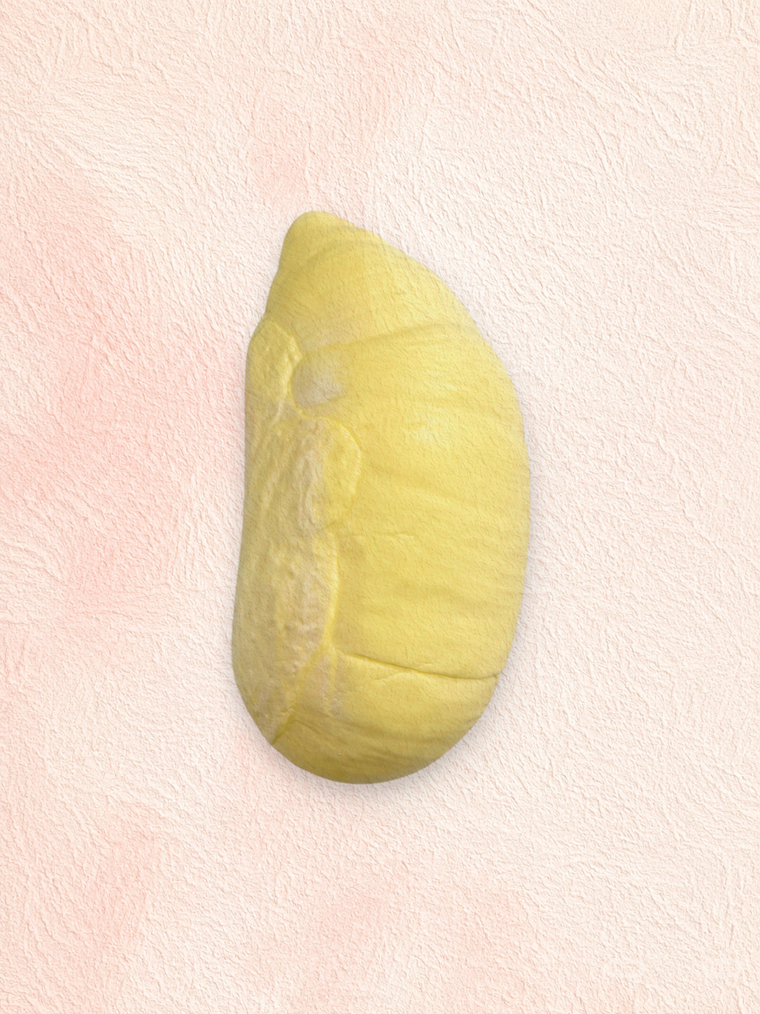 Durian Squishy Toy: Realistic Fruit Buying Guide