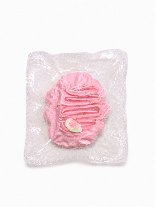 Guava Cake Squishy