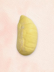 Realistic Durian Squishy