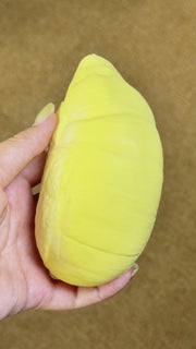 Realistic Durian Squishy