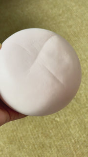 Strawberry Daifuku Mochi Squishy