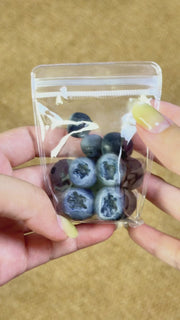 Blueberry Fruit Squishy